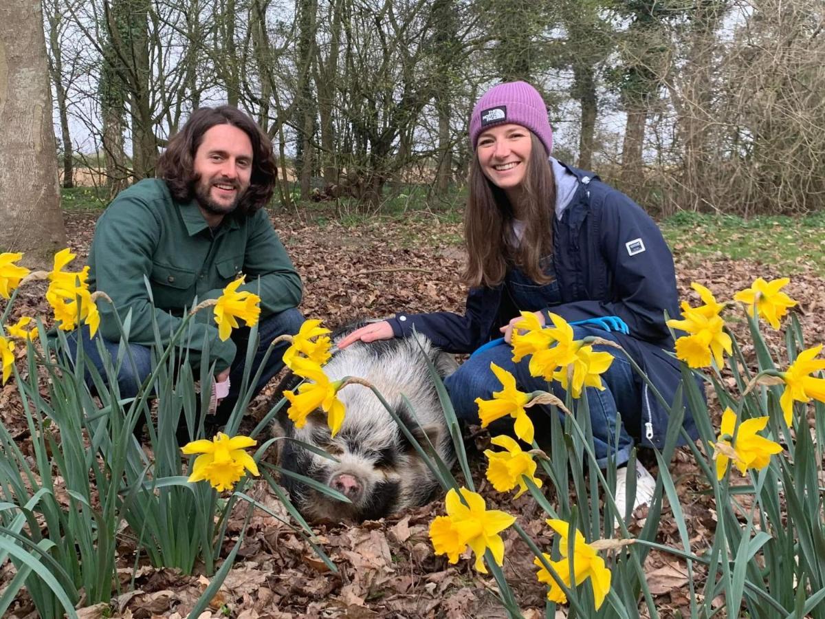 Vila Starry Meadow & Rescued Animal Experiences Great Yarmouth Exteriér fotografie
