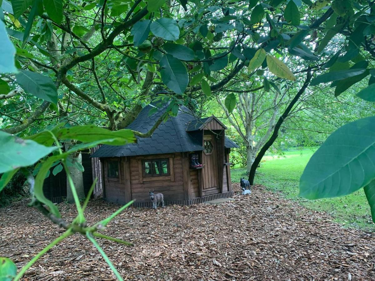 Vila Starry Meadow & Rescued Animal Experiences Great Yarmouth Exteriér fotografie
