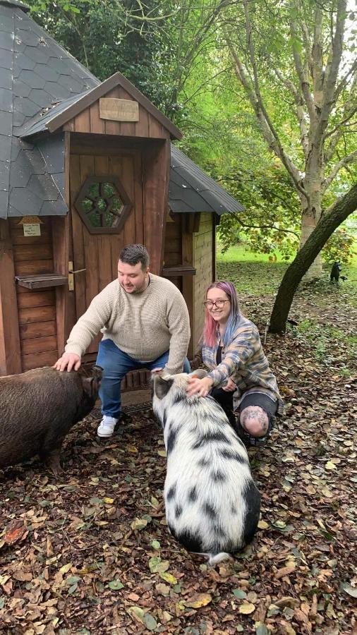 Vila Starry Meadow & Rescued Animal Experiences Great Yarmouth Exteriér fotografie