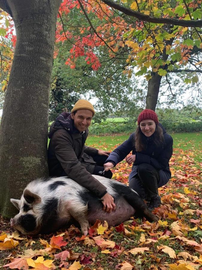 Vila Starry Meadow & Rescued Animal Experiences Great Yarmouth Exteriér fotografie