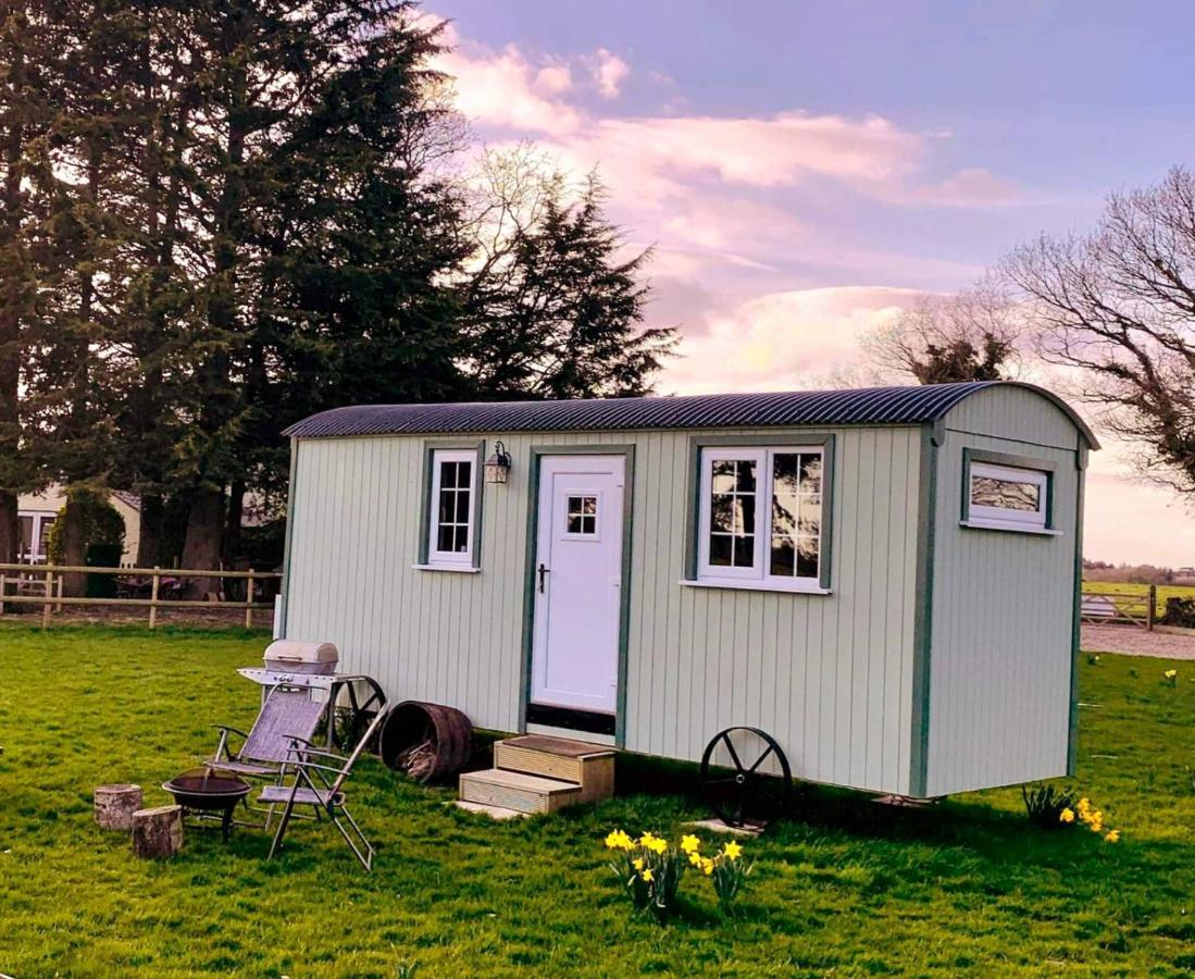 Vila Starry Meadow & Rescued Animal Experiences Great Yarmouth Exteriér fotografie