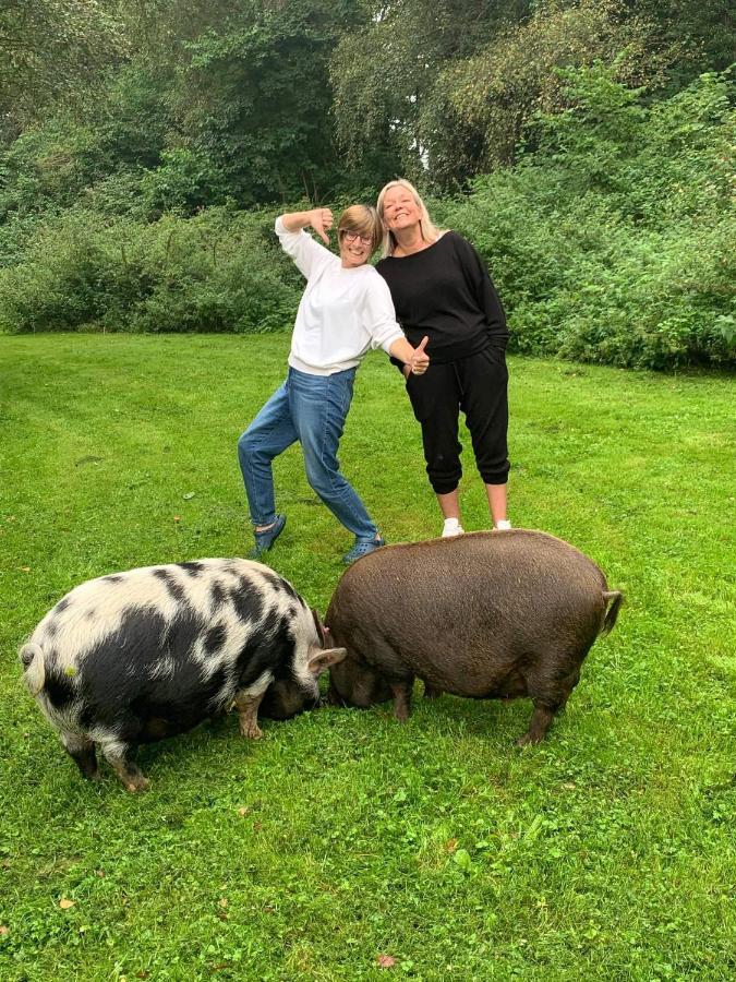 Vila Starry Meadow & Rescued Animal Experiences Great Yarmouth Exteriér fotografie