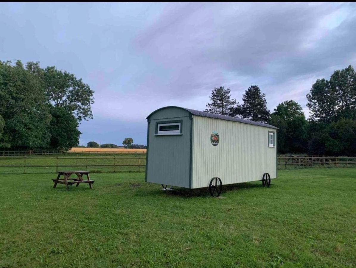 Vila Starry Meadow & Rescued Animal Experiences Great Yarmouth Exteriér fotografie