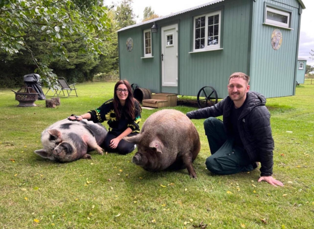 Vila Starry Meadow & Rescued Animal Experiences Great Yarmouth Exteriér fotografie